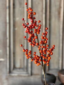 Emberfruit Collection
