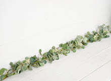 Load image into Gallery viewer, Seeded Silver Dollar Garland
