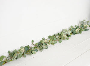Seeded Silver Dollar Garland