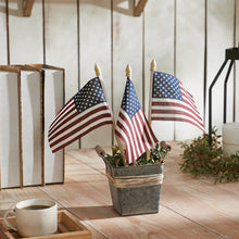 Load image into Gallery viewer, Americana Flag Picks
