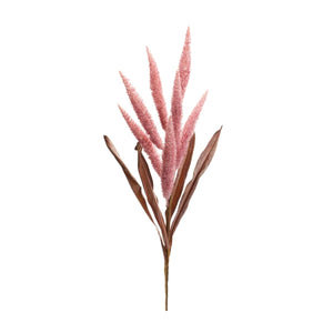 Foxtail
