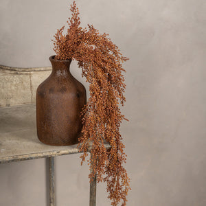 Rust Berry Hanging Bush