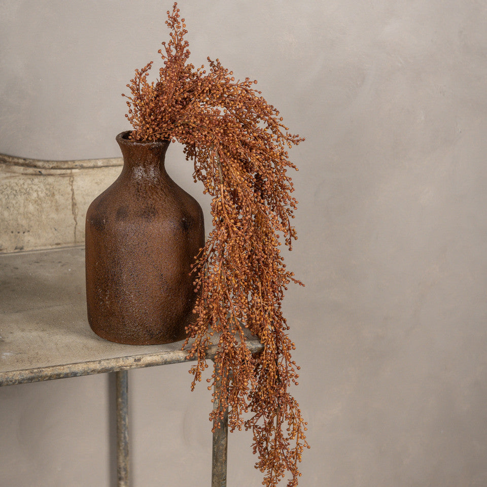 Rust Berry Hanging Bush