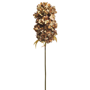 33" Brown Hydrangea Spray