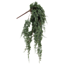 Load image into Gallery viewer, Dark Green Juniper Collection
