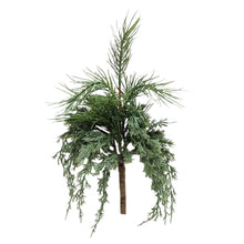 Load image into Gallery viewer, Dark Green Juniper Collection
