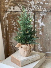 Load image into Gallery viewer, Starlit Cedar Tree - LED
