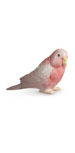 Load image into Gallery viewer, Pink Parrot
