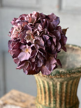 Load image into Gallery viewer, Empire Hydrangeas

