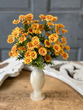 Load image into Gallery viewer, Curtsy Daisy Bush
