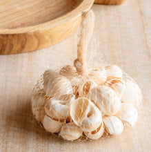 Load image into Gallery viewer, Sea Shells in Net Bag
