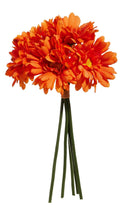 Load image into Gallery viewer, 12" Gerber Daisy Bundles
