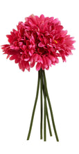 Load image into Gallery viewer, 12" Gerber Daisy Bundles
