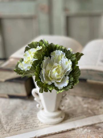 Pixie Kale Bundle - Cream