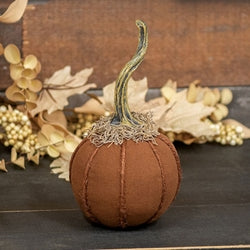 Mossy Top Orange Rustic Pumpkin