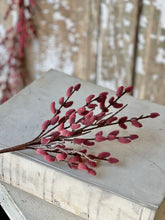 Load image into Gallery viewer, Rosewood Catkin Collection
