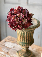 Load image into Gallery viewer, Empire Hydrangeas

