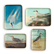 Load image into Gallery viewer, Sea Bird Metal Trinket / Desk Trays
