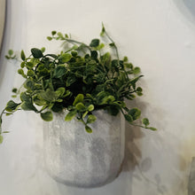 Load image into Gallery viewer, Ceramic Wall Planters
