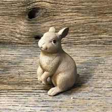Load image into Gallery viewer, Brown Resin Bunnies
