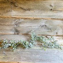 Load image into Gallery viewer, Flocked Mini Vine Garland
