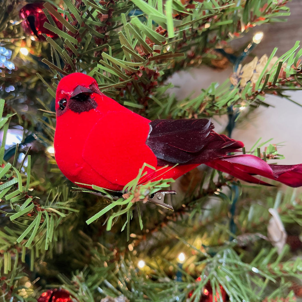 Feather Cardinal Ornament