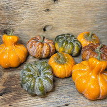 Load image into Gallery viewer, Pumpkins and Gourds Bowl Filler Set
