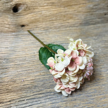 Load image into Gallery viewer, Small Hydrangea Stems
